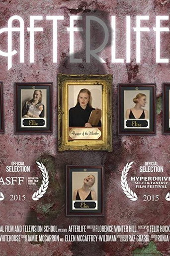 Póster de Afterlife