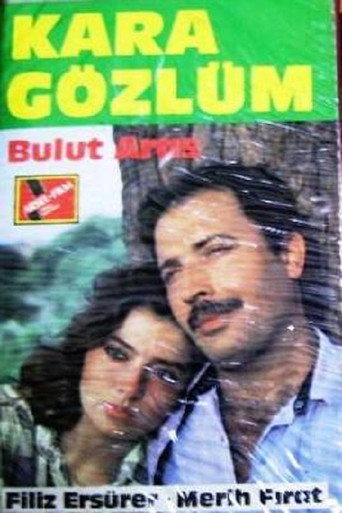 Póster de Kara Gözlüm