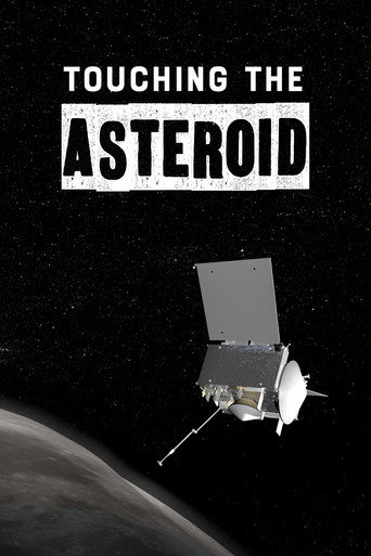 Póster de Touching the Asteroid