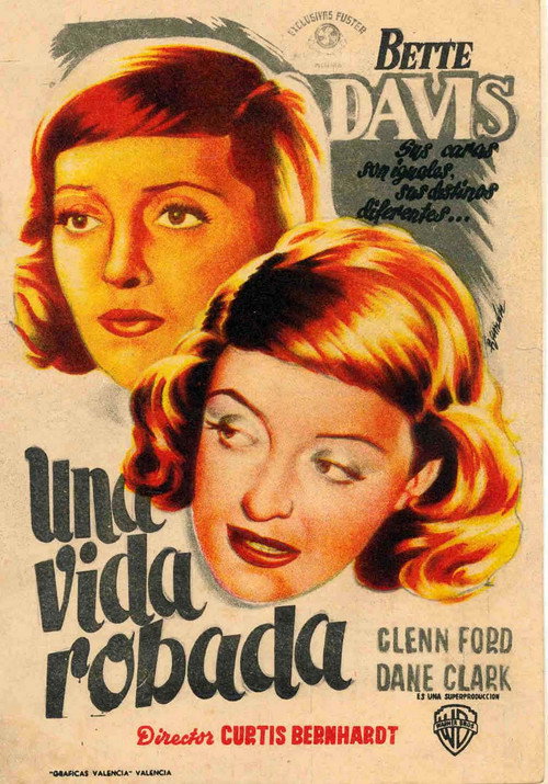 Póster de A Stolen Life