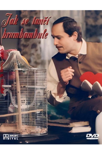 Póster de Jak se tančí brumbambule