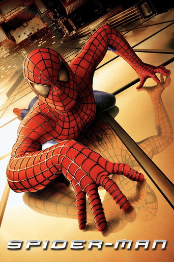 Póster de El hombre araña