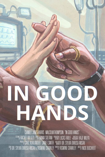 Póster de In Good Hands