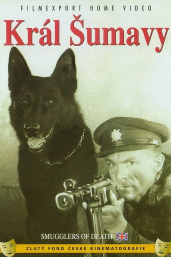 Póster de Král Šumavy