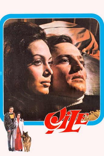Póster de Çile