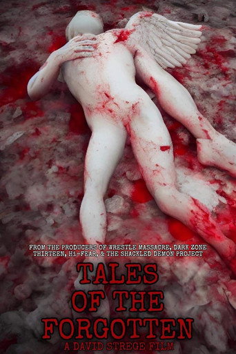 Póster de Tales of the Forgotten