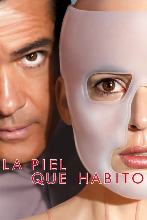 Póster de La piel que habito