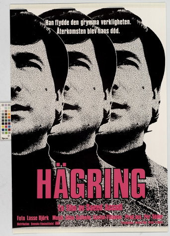 Póster de Hägring