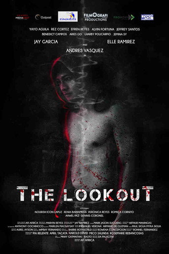 Póster de The Lookout