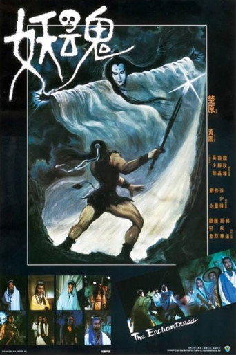 Póster de 妖魂