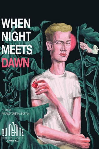 Póster de When Night meets Dawn