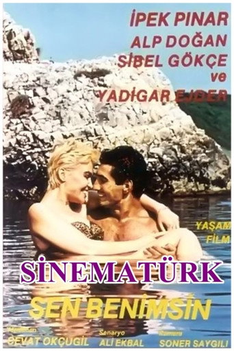 Póster de Sen Benimsin