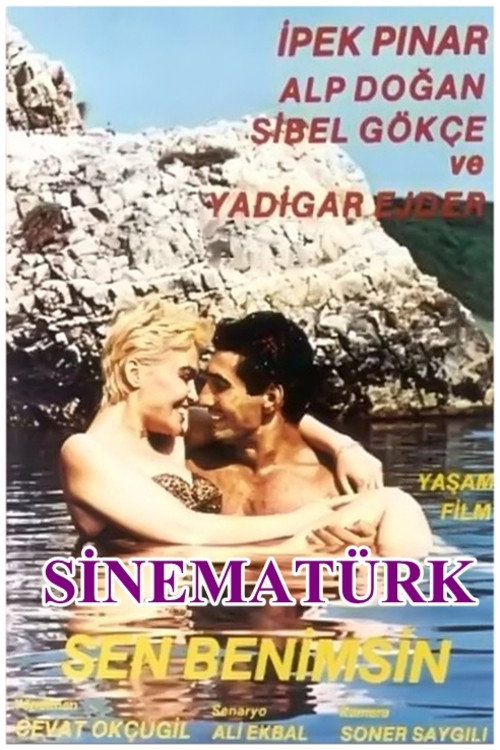 Póster de Sen Benimsin