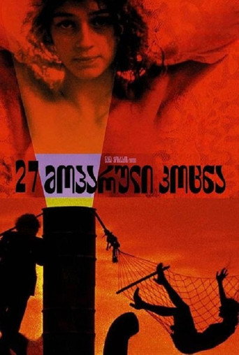 Póster de 27 Missing Kisses