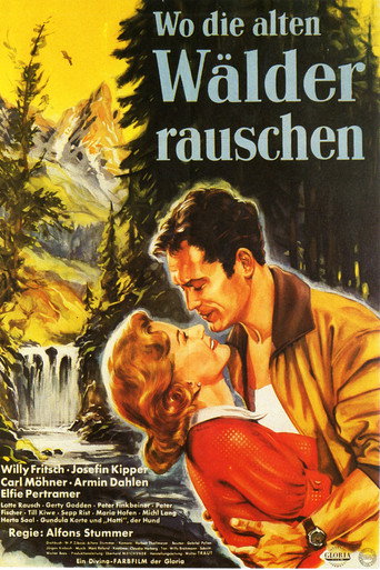 Póster de Wo die alten Wälder rauschen