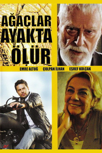 Póster de Ağaçlar Ayakta Ölür