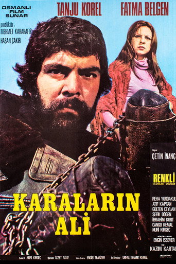 Póster de Karaların Ali