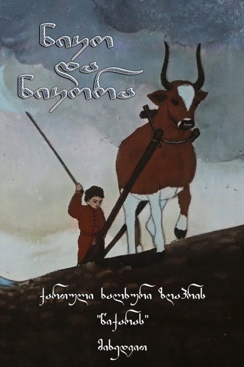 Póster de ნიკო და ნიკორა