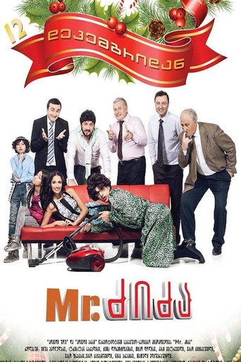 Póster de Mr. ძიძა