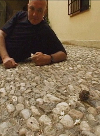 Póster de Scully in Malaga