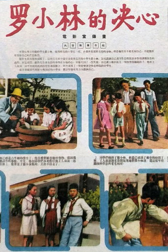 Póster de 罗小林的决心