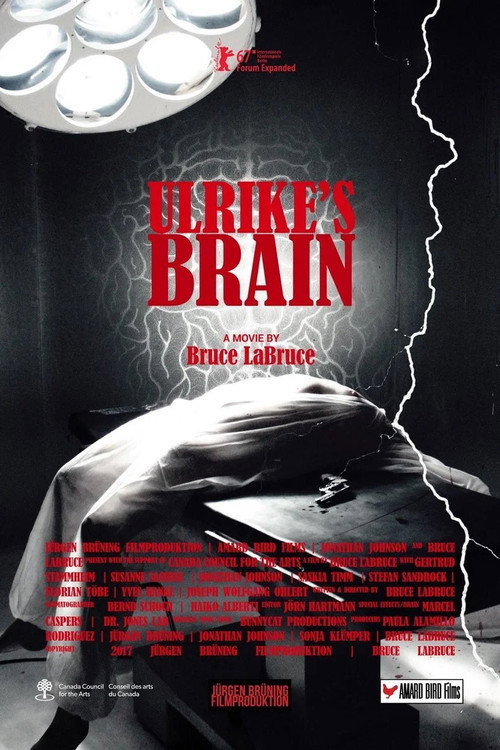 Póster de Ulrike's Brain