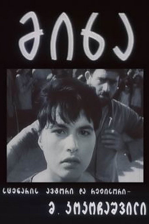 Póster de მიხა