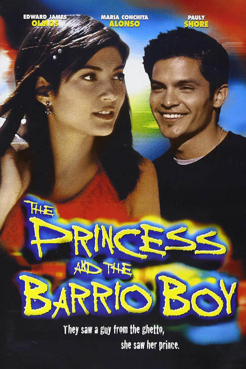 Póster de The Princess and the Barrio Boy