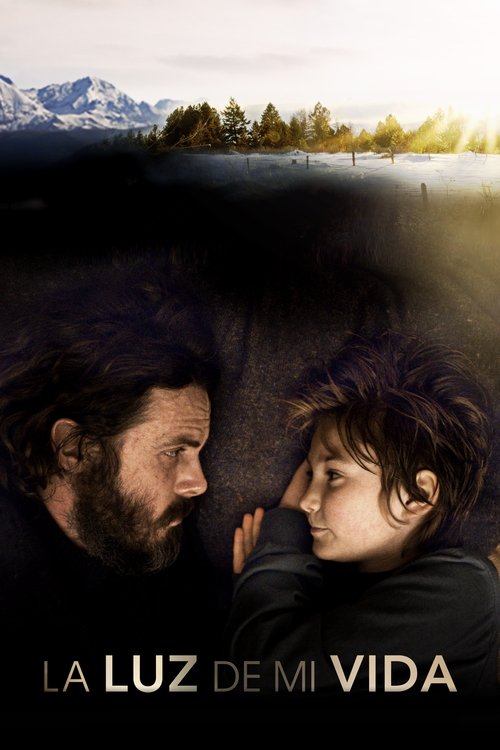 Póster de Light of My Life
