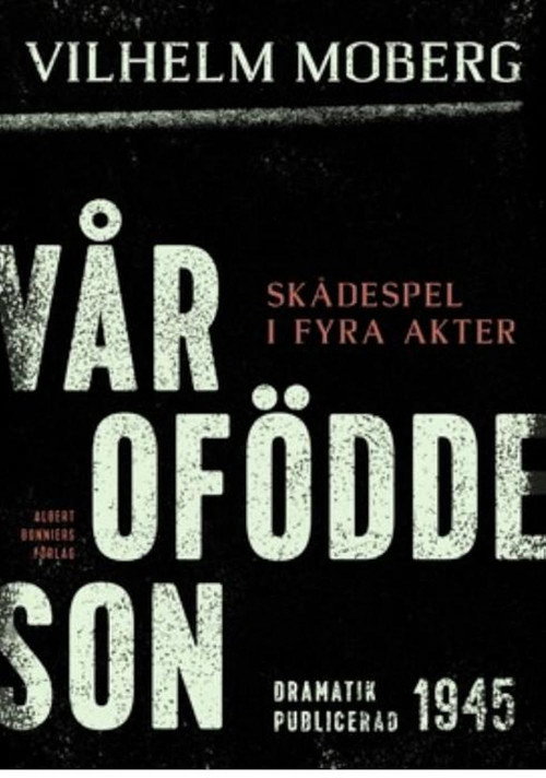 Póster de Vår ofödde son
