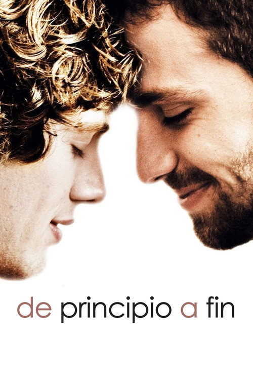 Póster de Do Começo ao Fim