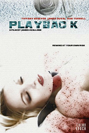 Póster de Playback