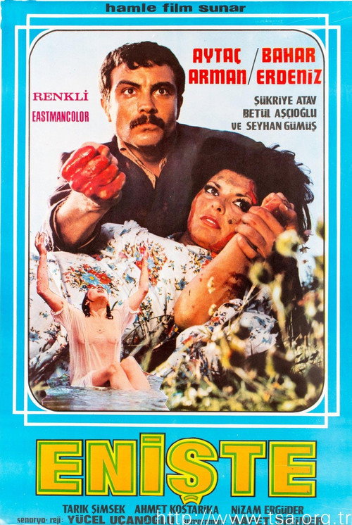 Póster de Enişte
