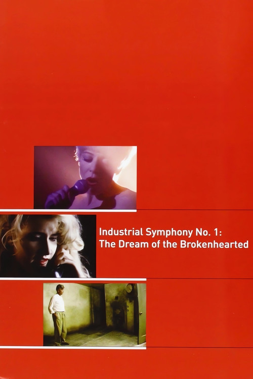 Póster de Industrial Symphony No. 1: The Dream of the Brokenhearted