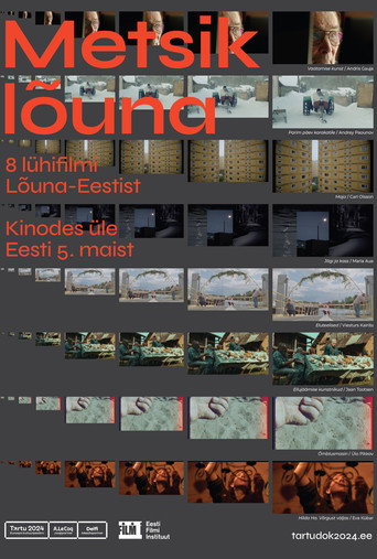 Póster de Metsik lõuna