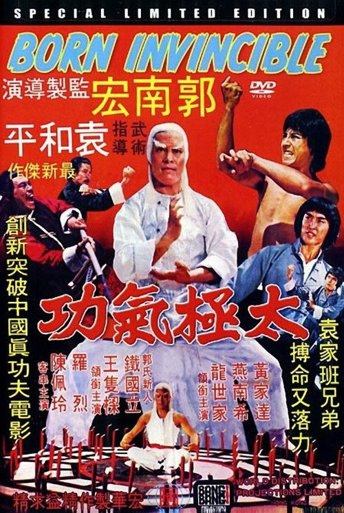 Póster de 太极气功