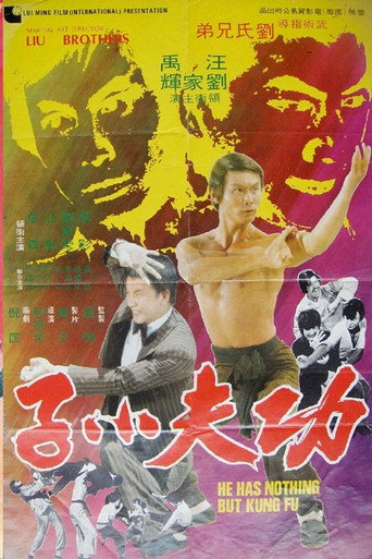 Póster de 功夫小子