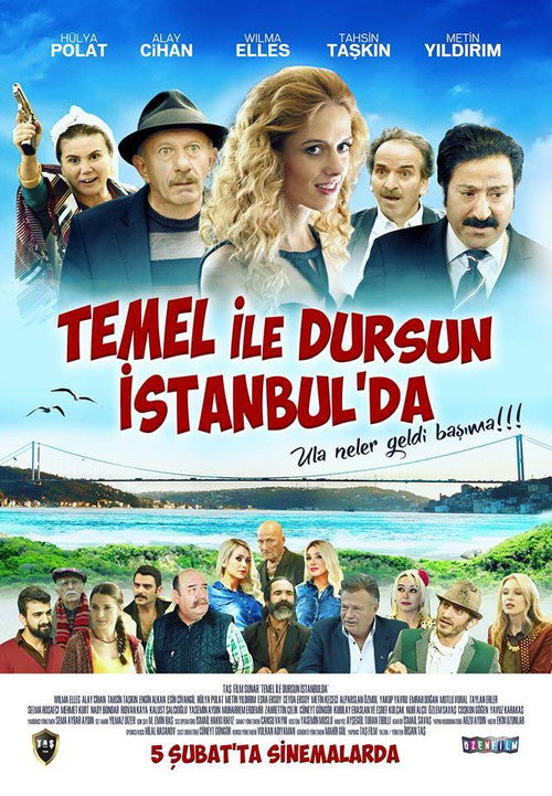 Póster de Temel ile Dursun İstanbul'da
