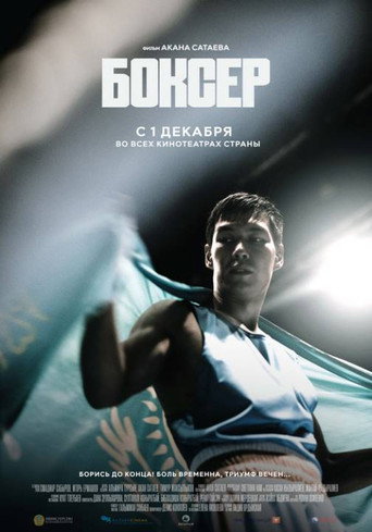 Póster de Boxer