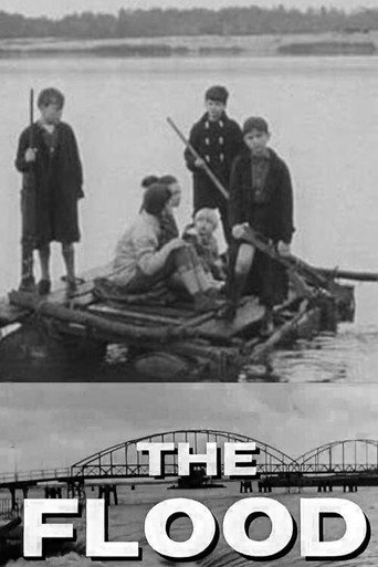 Póster de The Flood
