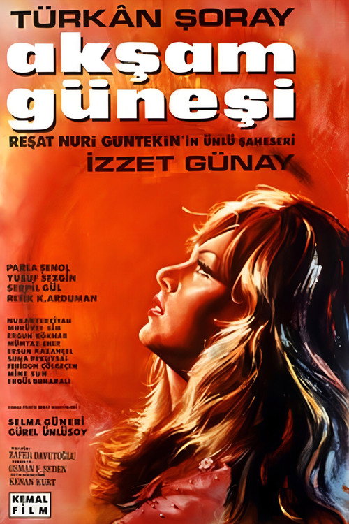 Póster de Akşam Güneşi