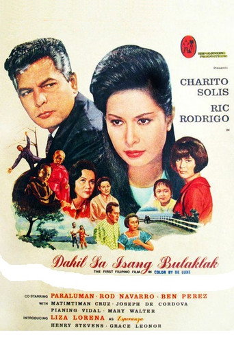 Póster de Dahil sa Isang Bulaklak