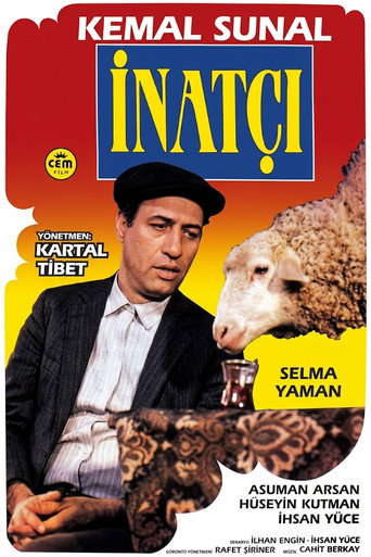 Póster de İnatçı