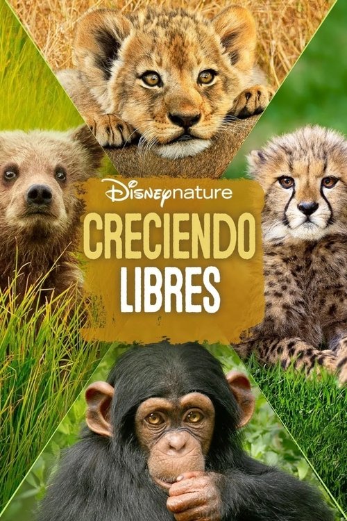 Póster de Creciendo libres