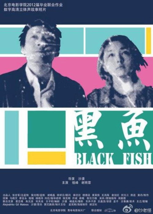 Póster de 黑鱼