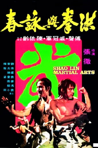 Póster de 洪拳與詠春