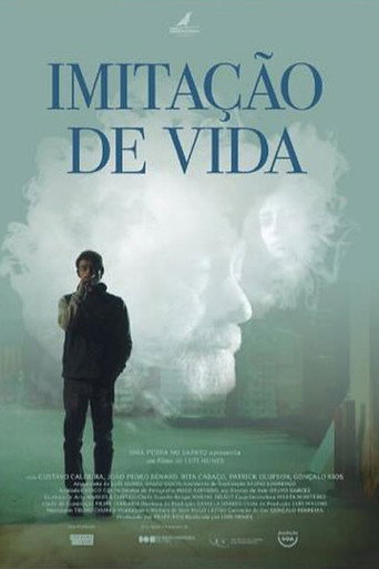 Póster de Imitação de Vida