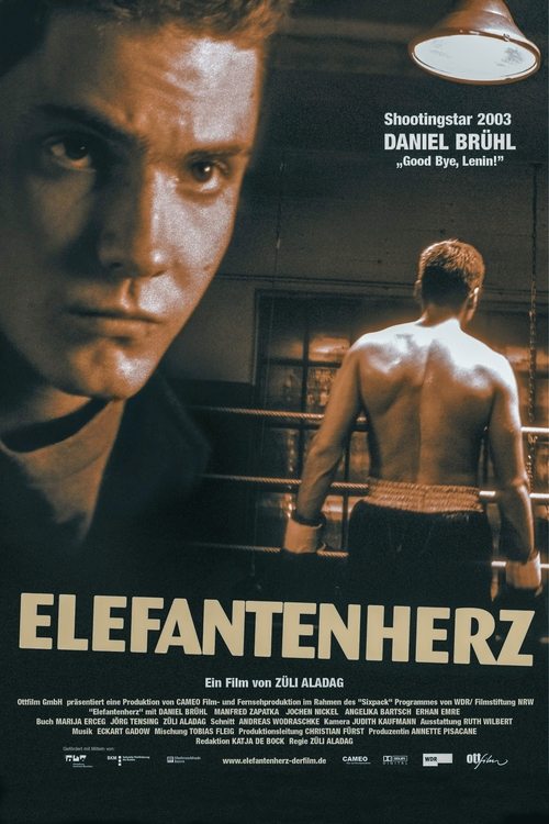 Póster de Elefantenherz