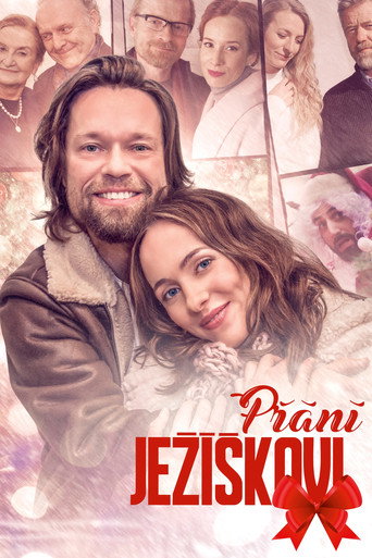 Póster de Přání Ježíškovi