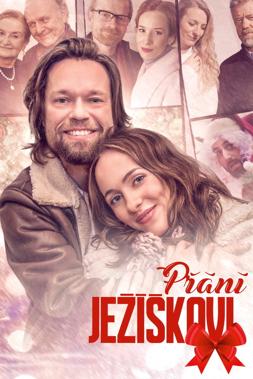 Póster de Přání Ježíškovi